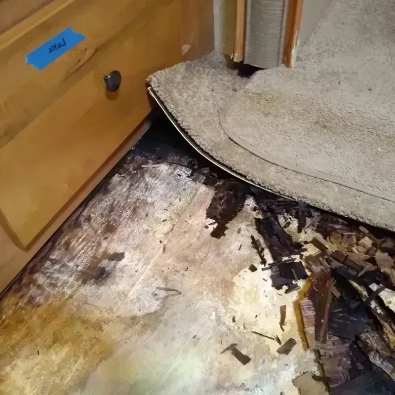 Wood Floor Water Damage in Castle Pines North, CO